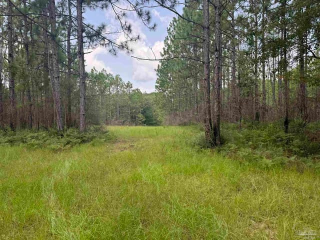 0 Nokomis Rd, Walnut Hill FL 32568 photo 25