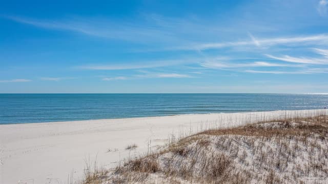 13661 Perdido Key Dr # 801, Pensacola FL 32507 photo 69