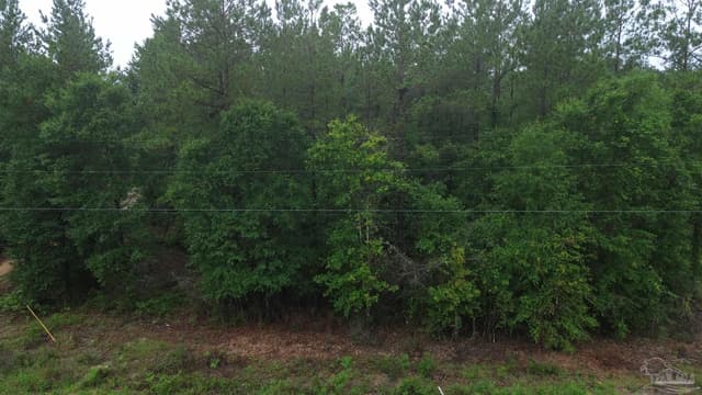 Lot 86 Pineview Church Rd, Jay FL 32565 photo 4