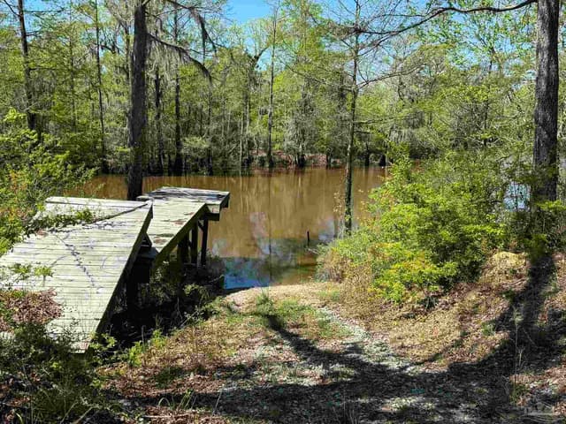 2610 Hwy 4, Jay FL 32565 photo 46