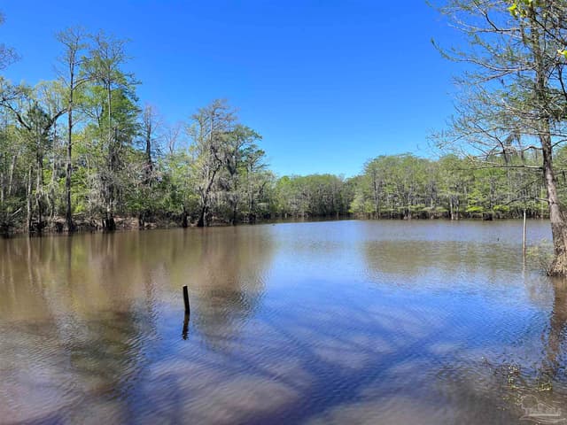 2610 Hwy 4, Jay FL 32565 photo 17