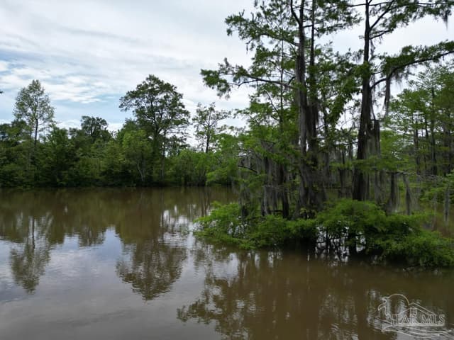 2610 Hwy 4, Jay FL 32565 photo 7
