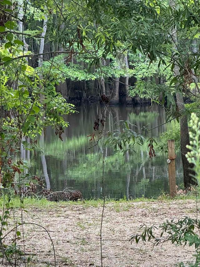 2610 Hwy 4, Jay FL 32565 photo 66