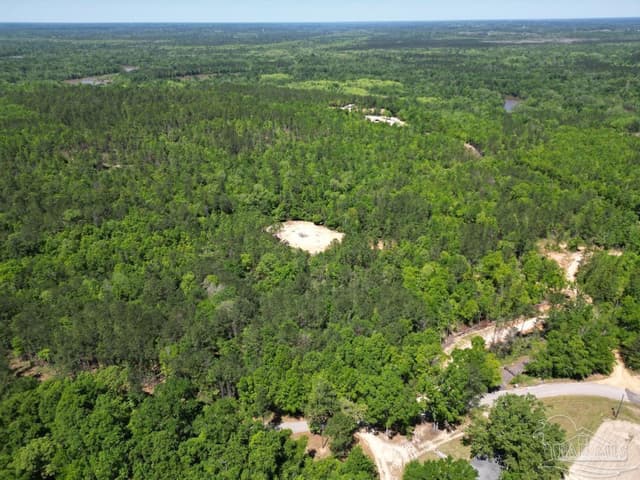 2610 Hwy 4, Jay FL 32565 photo 71
