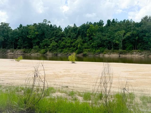 2610 Hwy 4, Jay FL 32565 photo 34