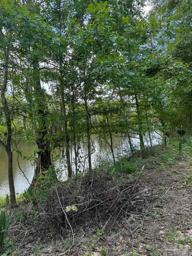 2610 Hwy 4, Jay FL 32565 photo 61