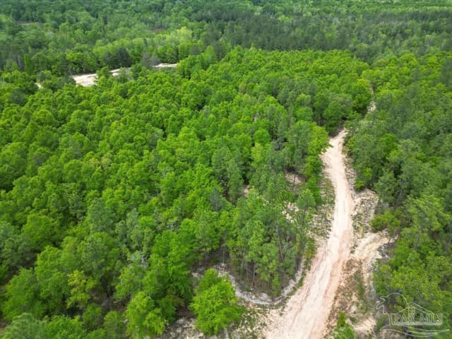 2610 Hwy 4, Jay FL 32565 photo 41