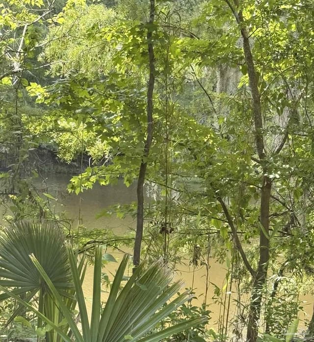 2610 Hwy 4, Jay FL 32565 photo 59