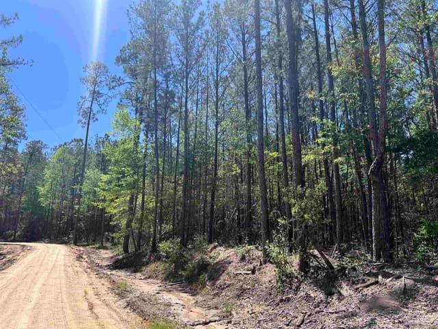 2610 Hwy 4, Jay FL 32565 photo 58