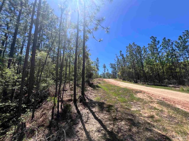 2610 Hwy 4, Jay FL 32565 photo 37