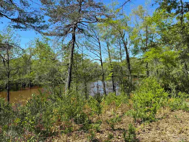 2610 Hwy 4, Jay FL 32565 photo 44