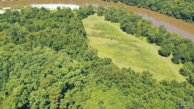 2610 Hwy 4, Jay FL 32565 photo 31
