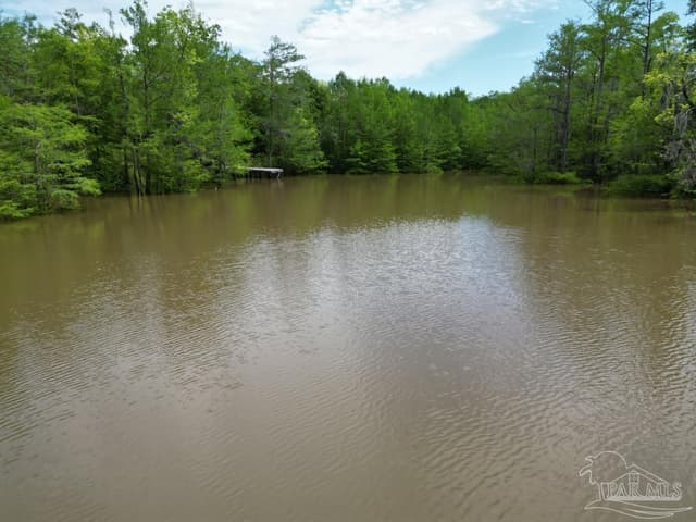 2610 Hwy 4, Jay FL 32565 photo 25