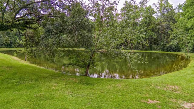 2345 Pompano St, Cantonment FL 32533 photo 37