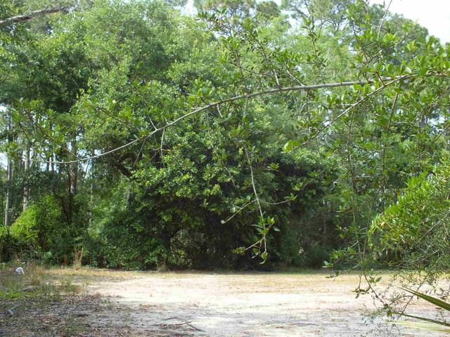 000 Eventide Rd, Milton FL 32583 photo 6