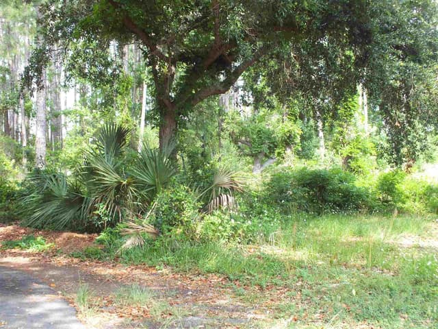 000 Eventide Rd, Milton FL 32583 photo 3