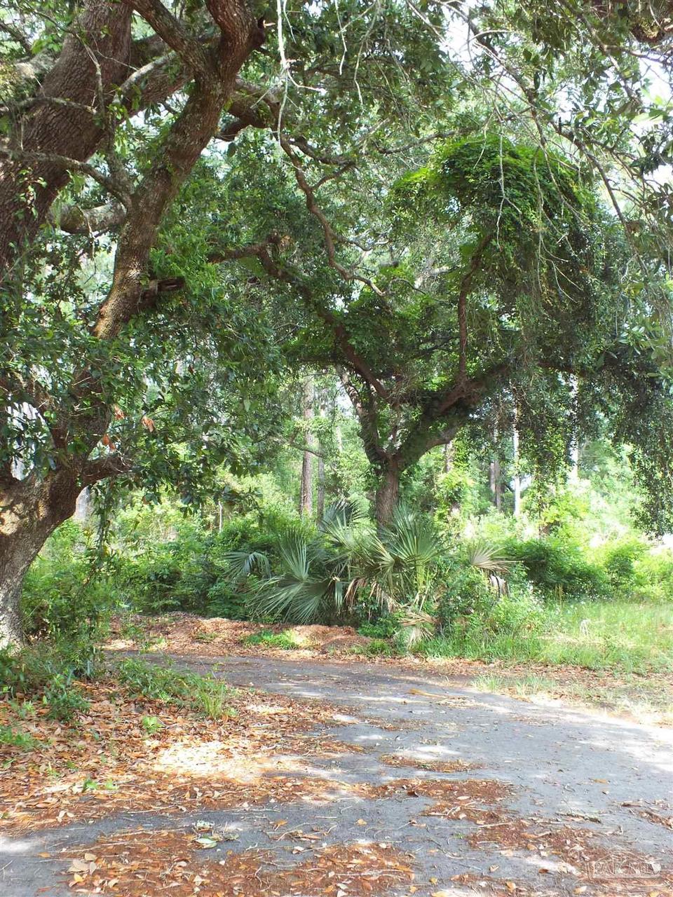 000 Eventide Rd, Milton FL 32583 photo 1