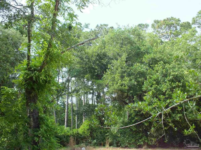 000 Eventide Rd, Milton FL 32583 photo 8