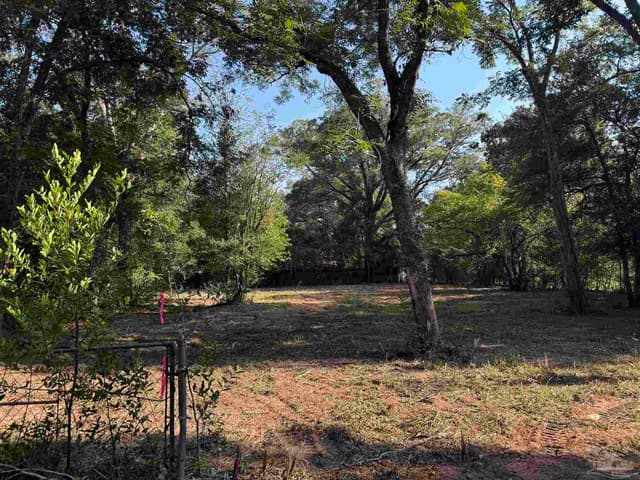 2704 Eureka Ln, Pensacola FL 32526 photo 5