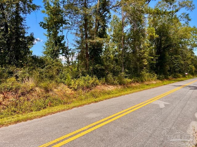 Lot 6C Cotton Lake Rd, Molino FL 32577 photo 23
