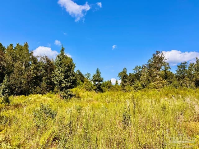 Lot 6C Cotton Lake Rd, Molino FL 32577 photo 12
