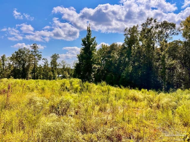 Lot 6C Cotton Lake Rd, Molino FL 32577 photo 22