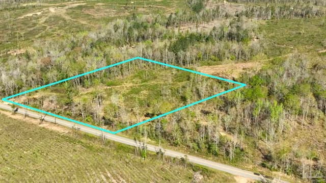 Lot 6C Cotton Lake Rd, Molino FL 32577 photo 4