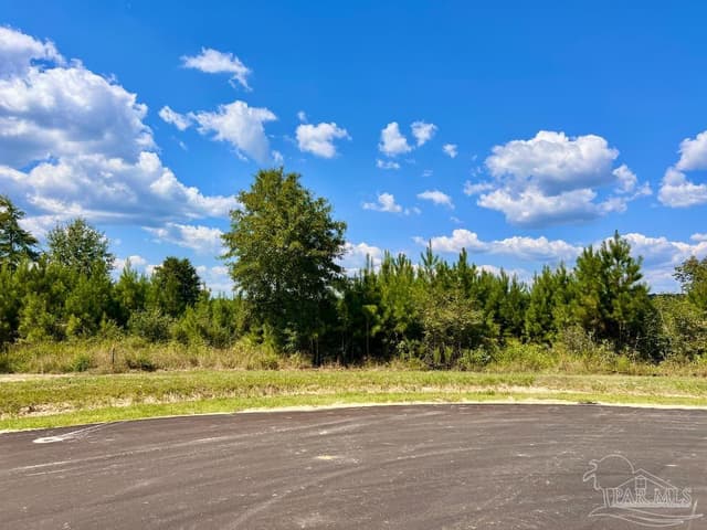 Lot 14 Morgans Branch, Molino FL 32577 photo 13