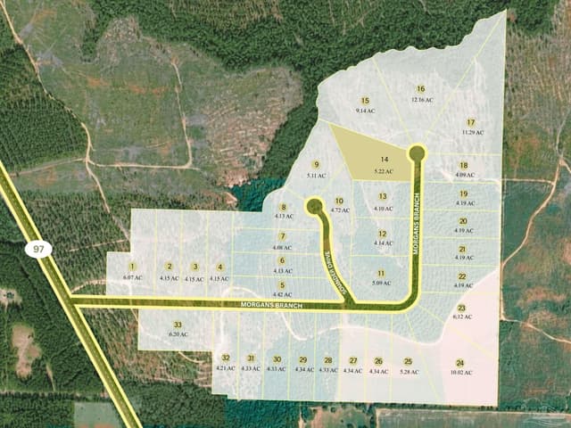 Lot 14 Morgans Branch, Molino FL 32577 photo 4