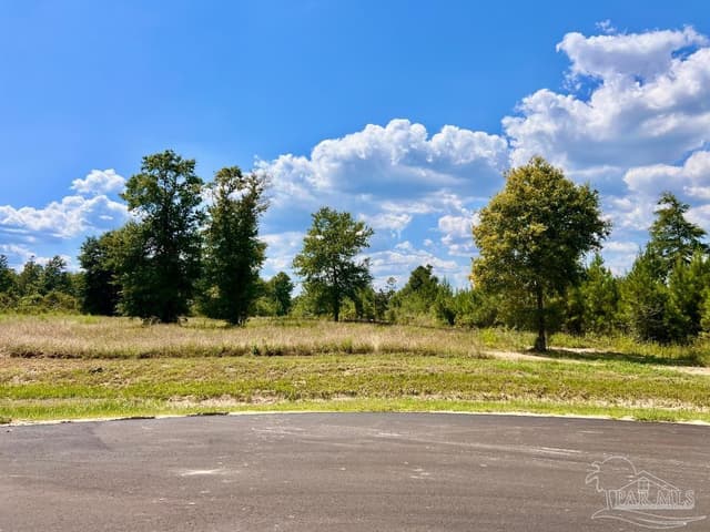Lot 14 Morgans Branch, Molino FL 32577 photo 8