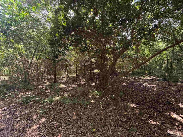 6305 W Jackson St, Pensacola FL 32506 photo 16