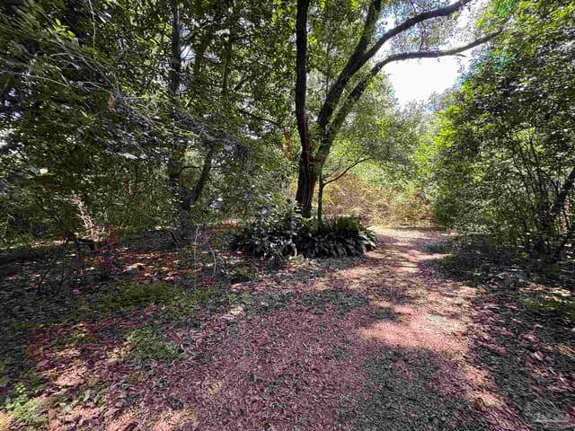 6305 W Jackson St, Pensacola FL 32506 photo 14
