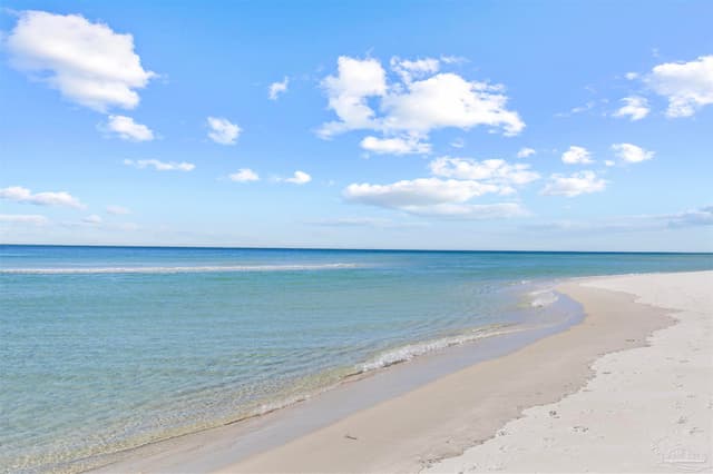 13500 Sandy Key Dr, Perdido Key FL 32507 photo 41