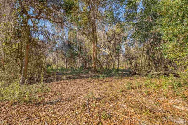 700 Polk Ave, Pensacola FL 32507 photo 3