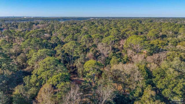 700 Polk Ave, Pensacola FL 32507 photo 9