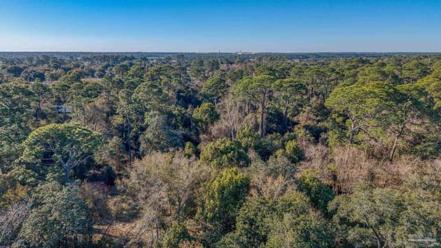 700 Polk Ave, Pensacola FL 32507 photo 8