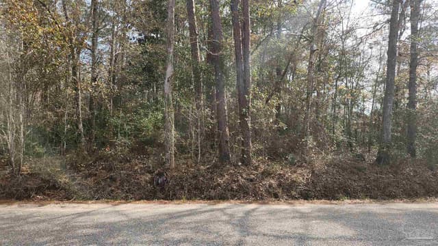 Pearson Rd property photo
