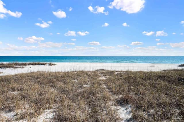 16315 Perdido Key Dr, Pensacola FL 32507 photo 55