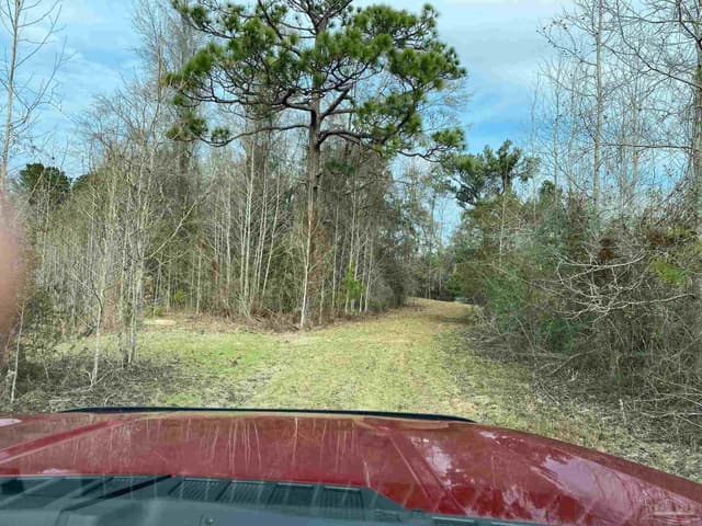 0000 Hwy 4, Jay FL 32565 photo 22