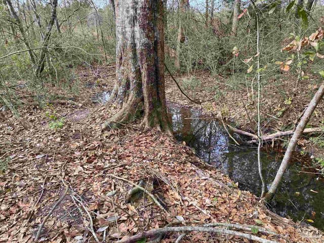 0000 Hwy 4, Jay FL 32565 photo 32