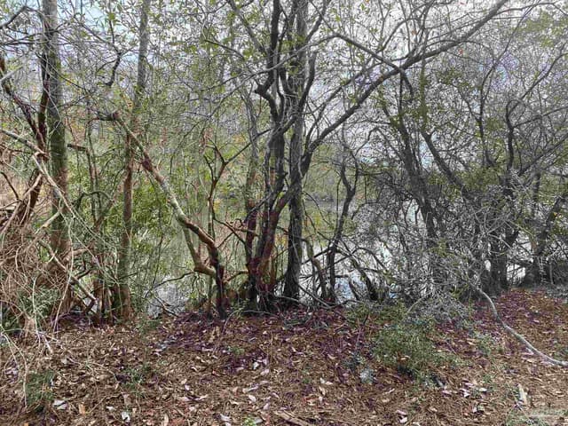 0000 Hwy 4, Jay FL 32565 photo 14