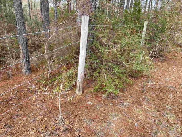 0000 Hwy 4, Jay FL 32565 photo 24