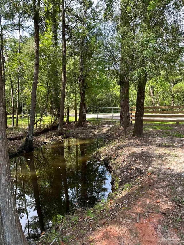 32232 Kingway Cir, Seminole AL 36574 photo 33