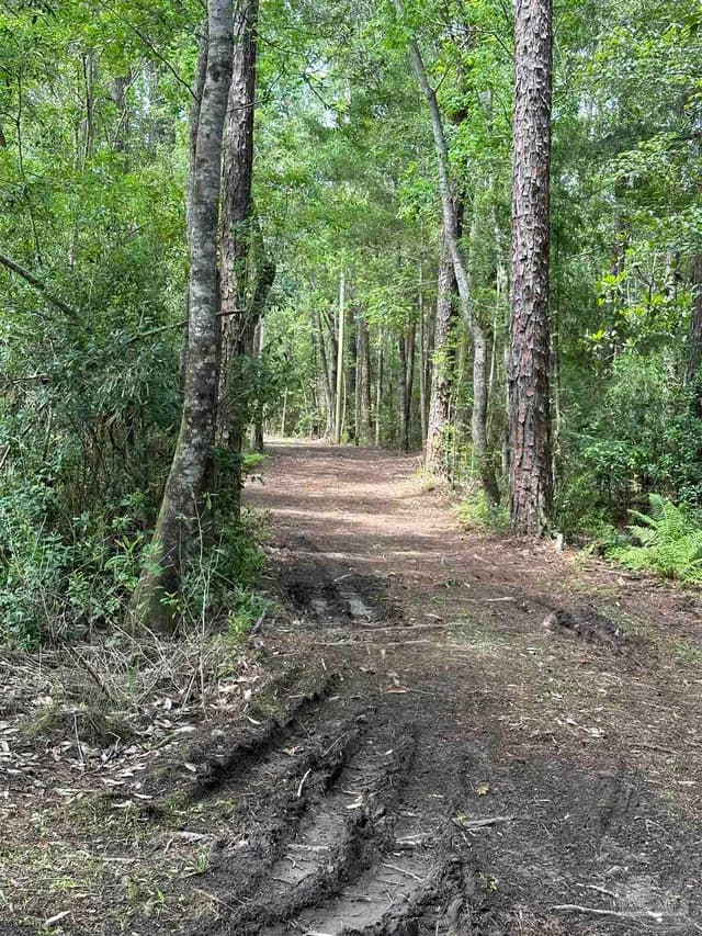 32232 Kingway Cir, Seminole AL 36574 photo 18