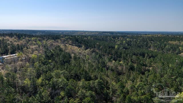 Lot 42 Buffalo Ridge Rd, Pace FL 32571 photo 23