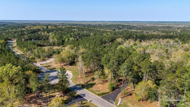 Lot 42 Buffalo Ridge Rd, Pace FL 32571 photo 17