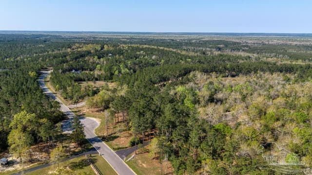 Lot 42 Buffalo Ridge Rd, Pace FL 32571 photo 16