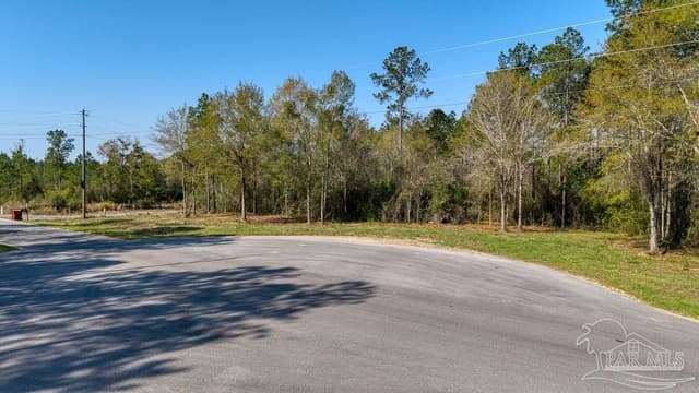 Lot 42 Buffalo Ridge Rd, Pace FL 32571 photo 12