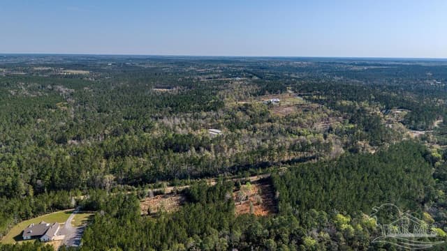 Lot 42 Buffalo Ridge Rd, Pace FL 32571 photo 20