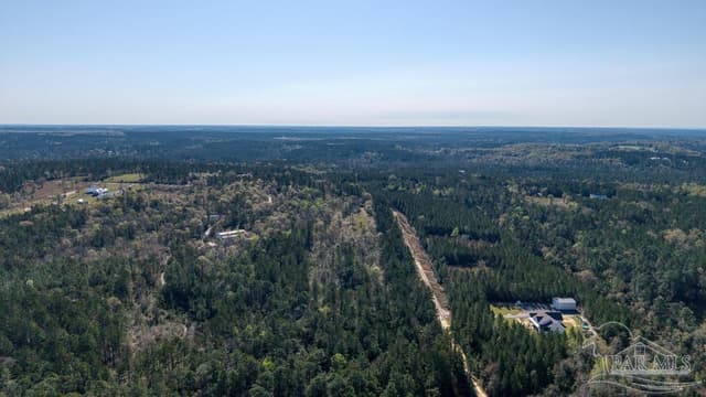 Lot 42 Buffalo Ridge Rd, Pace FL 32571 photo 10
